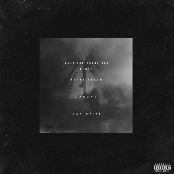 What You Gonna Do? (Remix) [feat. Capone & Royal Flush]