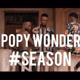 Season Popy Wonder