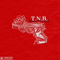 T.N.B. (feat. Kee Riche$) - Single - TellEmZel