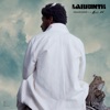 Mount Everest by Labrinth iTunes Track 2