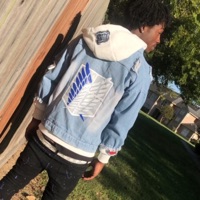 Attack On Titan - Single - Bby._j