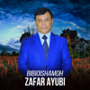 Zafar Ayubi - Kurtata Bakhmal Kardi artwork
