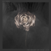 The Weight of Your Love (Deluxe Version) - Editors