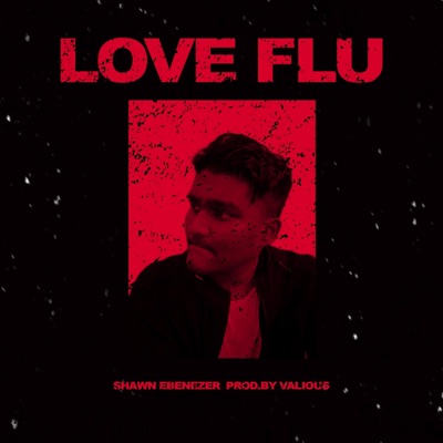 Love Flu - Single