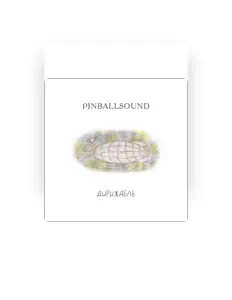 Ascolta Pinballsound, guarda video musicali, leggi la biografia, vedi le date del tour & altro!
