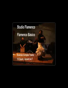 聆聽 Studio Flamenco、觀看音樂影片、閱讀小傳、查看巡演日期等！