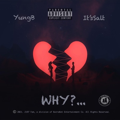 WHY (feat. It'sSalt) - Single
