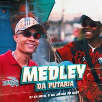 Medley Da Putaria (feat. Mc Menor Do Doze) - Single - Dj Salatiel