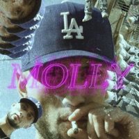 MOLLY - Single - The Lil Thugg, Big J the Producer & Zelta Beats
