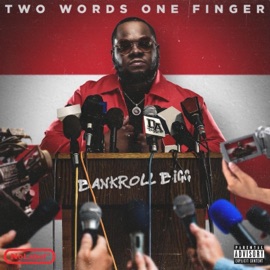 In Love Wit Da Money (feat. Jay Vannie) Bankroll Bigg