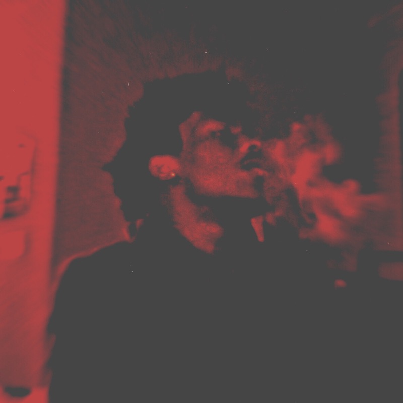 ayebands - Ginseng17