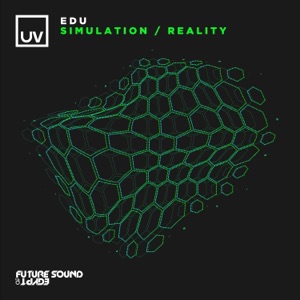 Simulation / Reality - EP