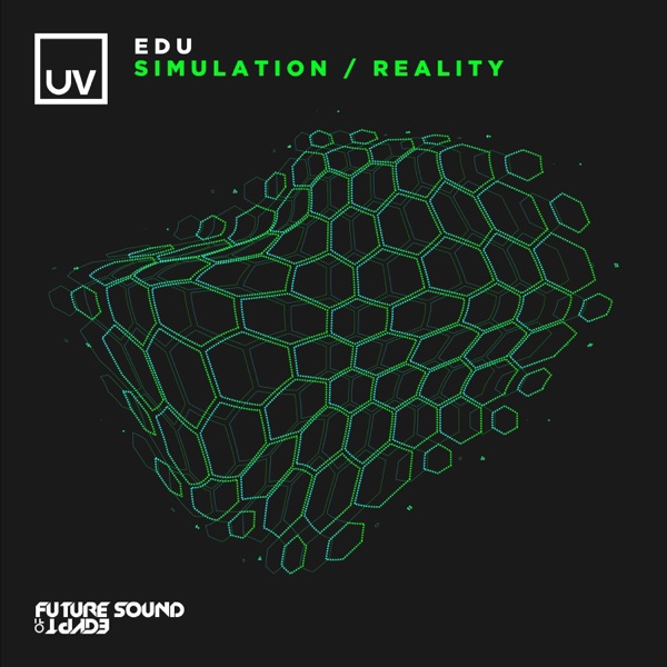 Simulation / Reality - EP