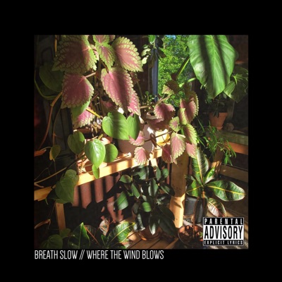 Breathe Slow // Where the Wind Blows - Single