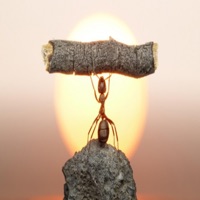 Superacion (feat. xaloraperstyle) - Single - DaogesMS