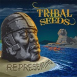 Tribal Seeds - In Your Area (feat. Kyle McDonald)