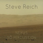 Steve Reich artwork