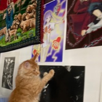 Aaaaaaaaaaaaaaaaaaaaaa - Single - Astralproject1on