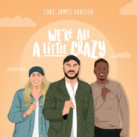We're All a Little Crazy - Single - Luke James Shaffer