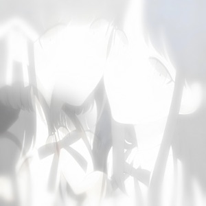 Projection - Single