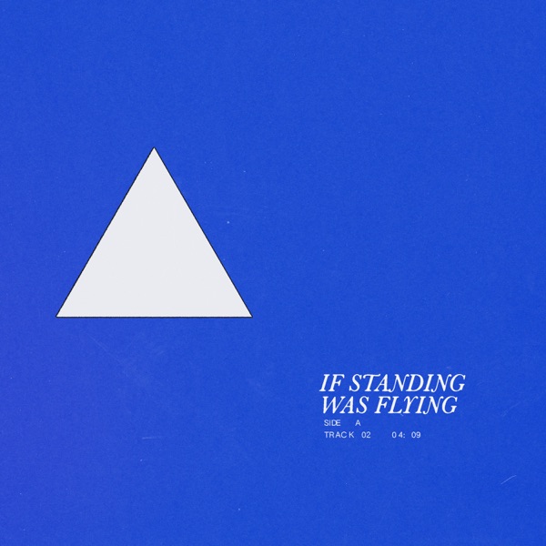If Standing Was Flying - Single