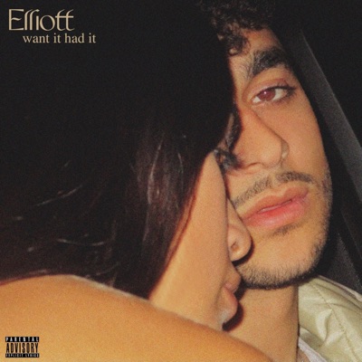 Want It Had It - Single