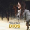 Maravilloso Dios - Single