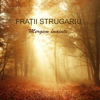 Domnul E Pastorul Meu - Fratii Strugariu