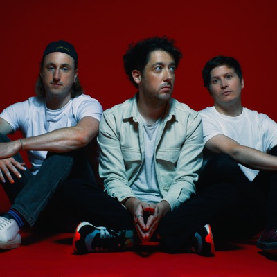 The Wombats