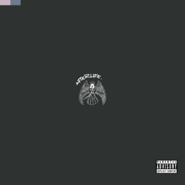 Afterlife kevspeakstruth