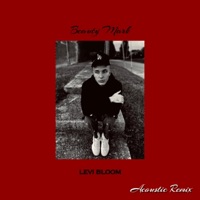 Beauty Mark (Acoustic Remix) [Acoustic Remix] - Single - Levi Bloom