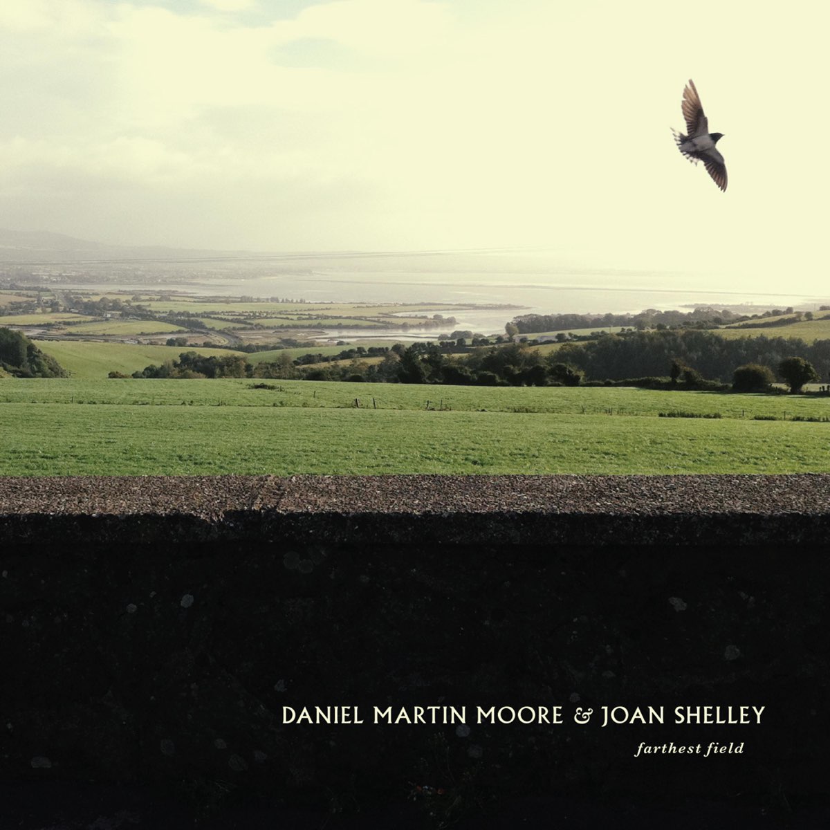 Daniel Martin Moore. Farthest field.