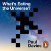 What's Eating the Universe? - Paul Davies