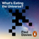 Paul Davies - What's Eating the Universe?
