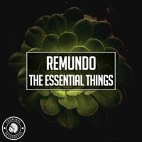 The Essential Things - Single - Remundo