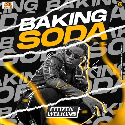Baking Soda - Single
