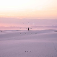 You Don't Know - Single - Ṿ Ʌ Ẏ U