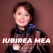 Iubirea Mea (Remix) artwork