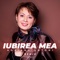 Iubirea Mea (Remix) artwork