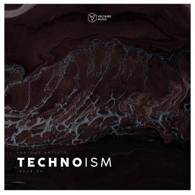 Technoism Issue 34