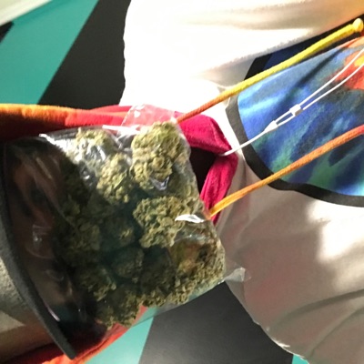 Rip Yung Mane - Single