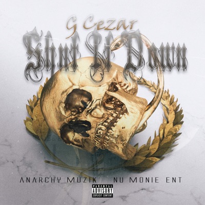 Shut It Down - Single