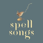The Lost Words: Spell Songs - Ghost Owl