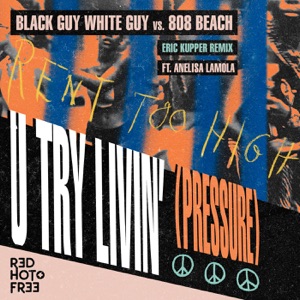 U Try Livin' (Pressure) [Eric Kupper Remix] [feat. Anelisa Lamola] - Single