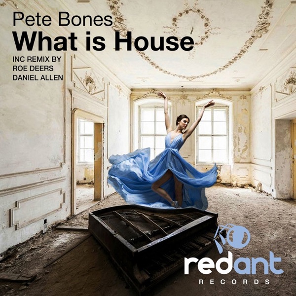 What Is House - Single