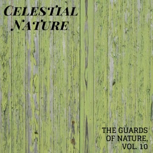 Celestial Nature - The Guards of Nature, Vol. 10