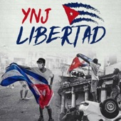 Libertad artwork