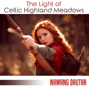 The Light of Celtic Highland Meadows: Celtic Lands, The Celtic Chillout Album, Celtic Lullaby, The Ancient Woods and Rocks