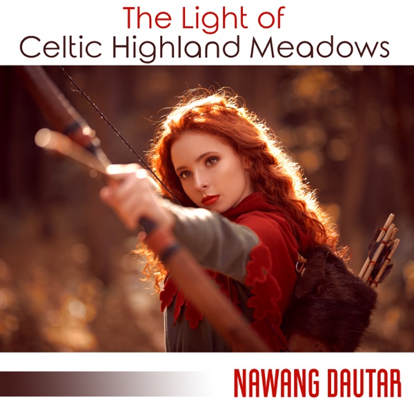 The Light of Celtic Highland Meadows: Celtic Lands, The Celtic Chillout Album, Celtic Lullaby, The Ancient Woods and Rocks
