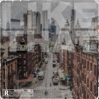 Like That (feat. Dz the Unknown) - Single - 4life Music